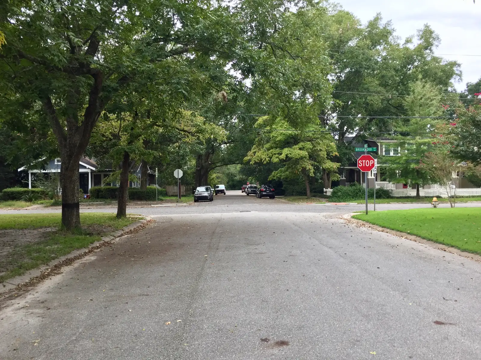 A tree-lined residential street in the Brookwood Historic District, Forest Hills, Wilmington.